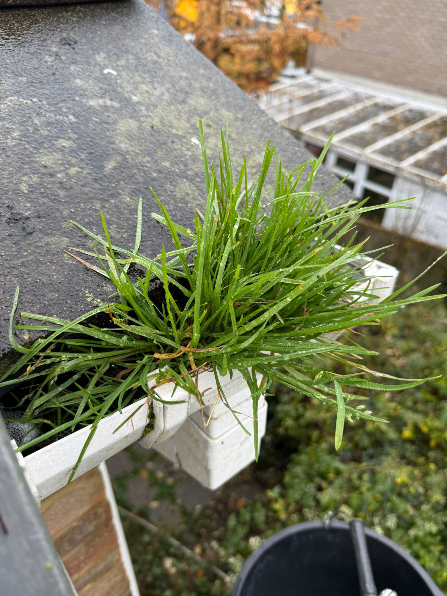 Blocked gutter downpipe in Chertsey